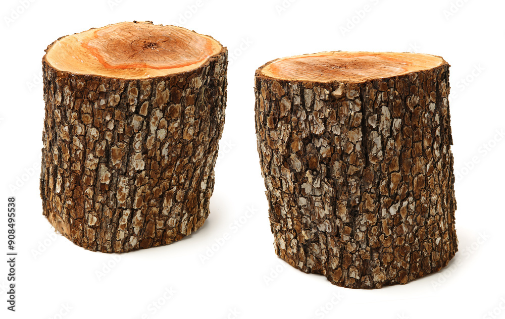 log isolated on a white background