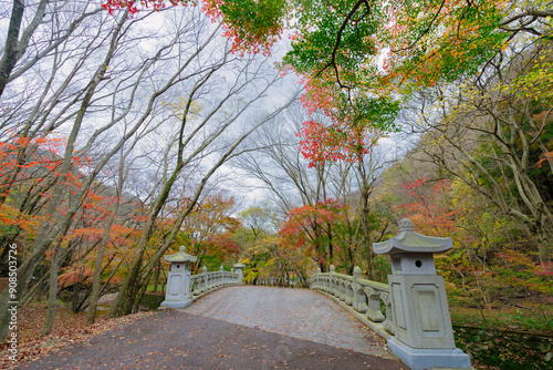 autumn in Naejangsan, Korea, where a traditional Asian architecture nestles amidst a tranquil, picturesque setting surrounded by vibrant autumn foliage. photo