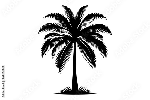 palm tree silhouette vector illustration