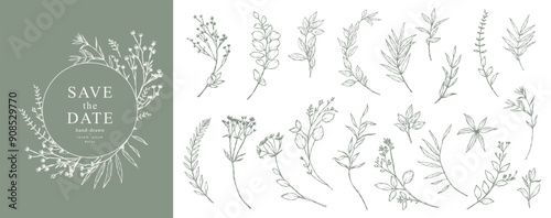 Set of botanical trendy greenery elements. Hand drawn elegant wildflower branches and leaves. Vector illustration for frame, logo, label, corporate identity, wedding invitation, save the date card