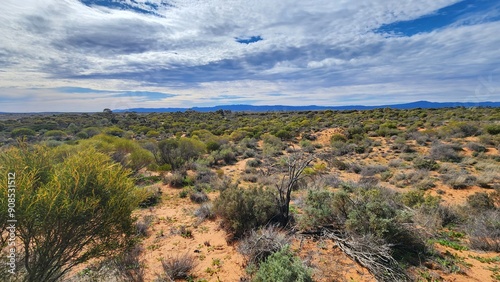 Port Augusta Arid Lands Botanic Gardens photo