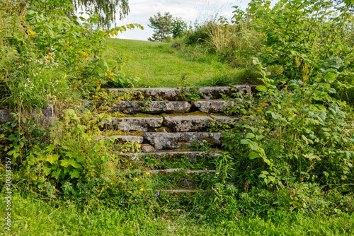 Old stone stairs in a park with grass and wild plants in summer with some light blue sky