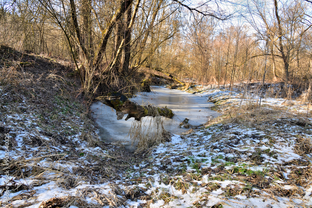 Frozen river and Ice in the forest in winter