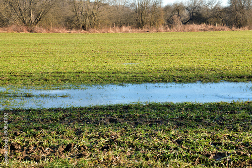 Frozen puddle with water on the meadow in spring