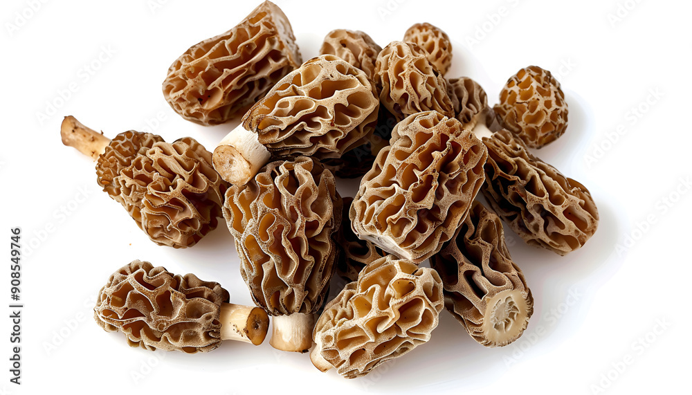 raw morel mushroom isolated on white background with full depth of field. Top view. Flat lay raw morel mushroom isolated on white background with full depth of field. Top view. Flat lay