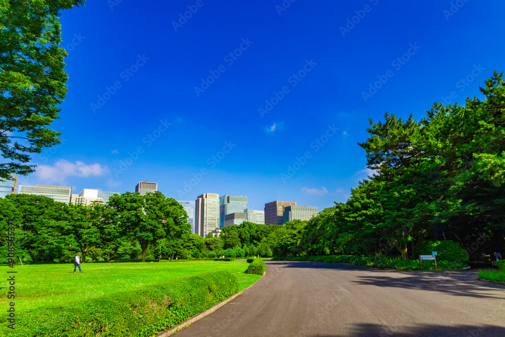 皇居東御苑・江戸城跡の公園の木々越しに見える、都会・丸ノ内・大手町・日比谷のビル（東京都千代田区）