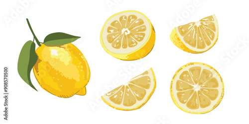 Fresh lemon fruits in Hand-drawn style set, Drawing of food elements for design menu label packaging . icons vector illustration