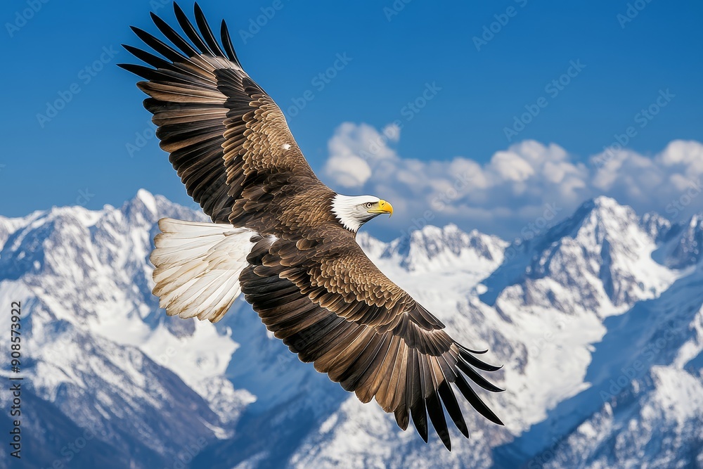 Majestic eagle soaring over mountains, copy space for text Majestic eagle soaring over mountains, copy space for text