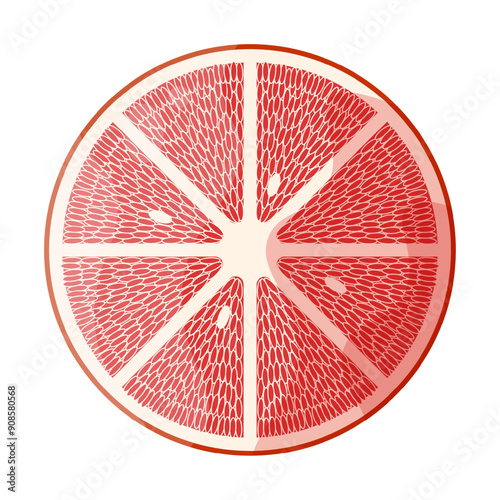 Clementine slice isolated white background. Rape Grapefruit template design. Simple flat vector illustration can used fabric decor template. EPS 10