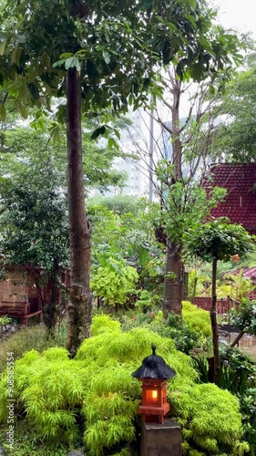 rain stops in the city park during the day with big trees and garden lights with high-rise buildings in the background. tropical rainforest