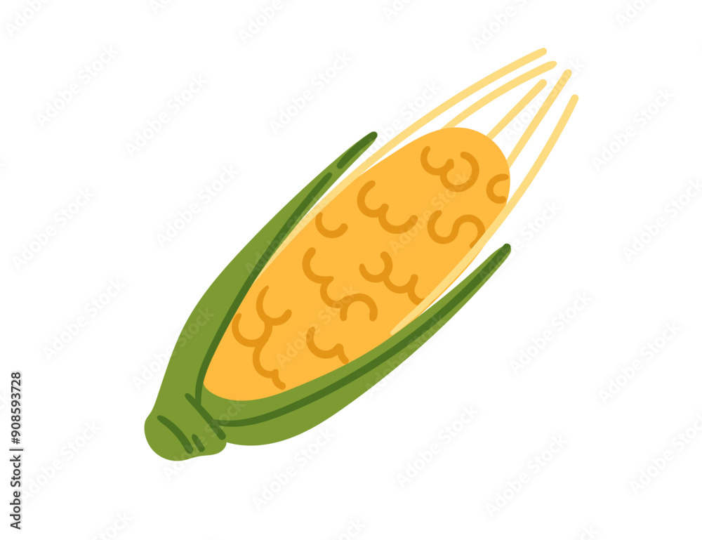Fresh corn cob with green husk. Sweet Corn healthy food. Ideal for agricultural or culinary book. Vector illustration isolated on white background Fresh corn cob with green husk. Sweet Corn healthy food. Ideal for agricultural or culinary book. Vector illustration isolated on white background