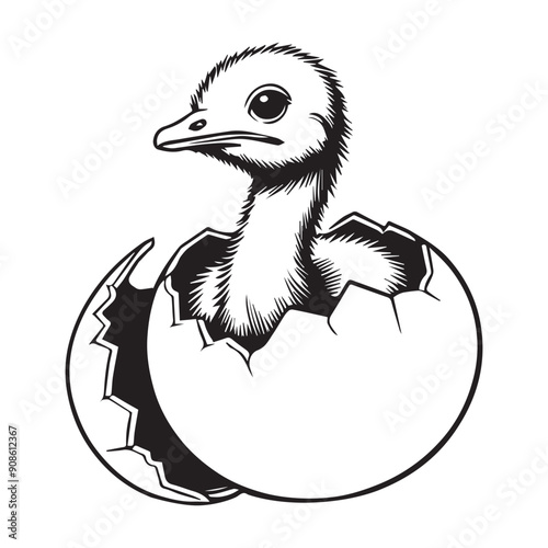 Ostrich Clipart, Struthio Bird Outline Design,  Common ostrich silhouette, Flightless bird illustration in black and white