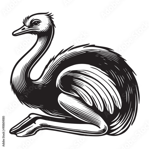 Ostrich Clipart, Struthio Bird Outline Design,  Common ostrich silhouette, Flightless bird illustration in black and white