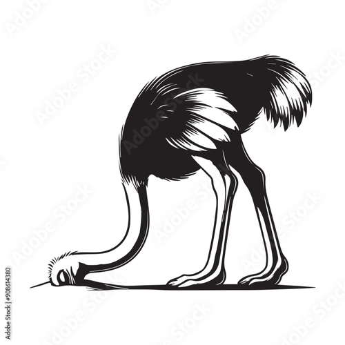 Ostrich Clipart, Struthio Bird Outline Design,  Common ostrich silhouette, Flightless bird illustration in black and white