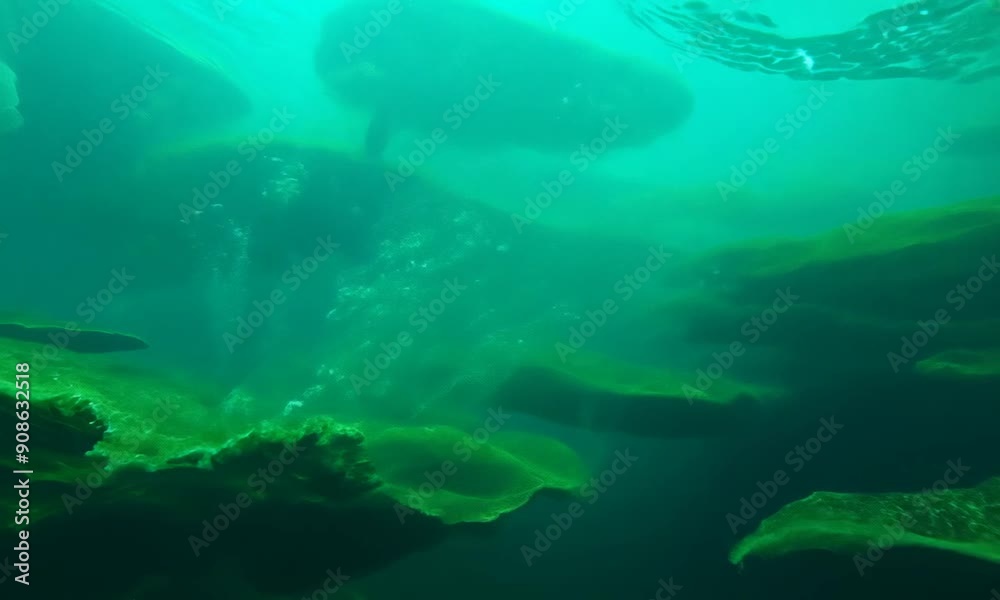Underwater Oasis: A mesmerizing underwater scene with vibrant green algae, a mysterious silhouette, and a stream of air bubbles creating an ethereal underwater landscape. The image evokes a sense of w Underwater Oasis: A mesmerizing underwater scene with vibrant green algae, a mysterious silhouette, and a stream of air bubbles creating an ethereal underwater landscape. The image evokes a sense of w