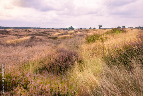 heater in nationaal park de veluwe