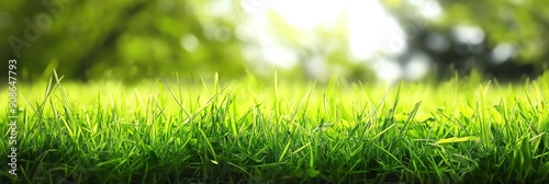 Serene garden scene features rich green lawn with vibrant yellow flower peeking out from beneath. Neatly trimmed grass appears well-maintained. Tall tree stands in background against clear blue sky.