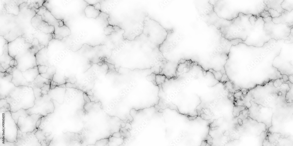 White limestone marble smooth exterior interior surface natural tile. Marble with high resolution. Modern White and black marble texture for wall and floor tile wallpaper luxurious background. White limestone marble smooth exterior interior surface natural tile. Marble with high resolution. Modern White and black marble texture for wall and floor tile wallpaper luxurious background.