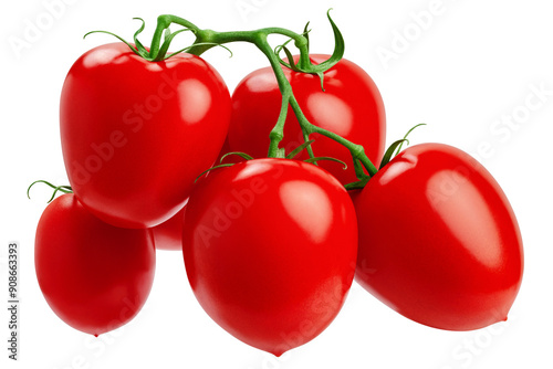 Tomato on branch, isolated on white background, full depth of field © grey