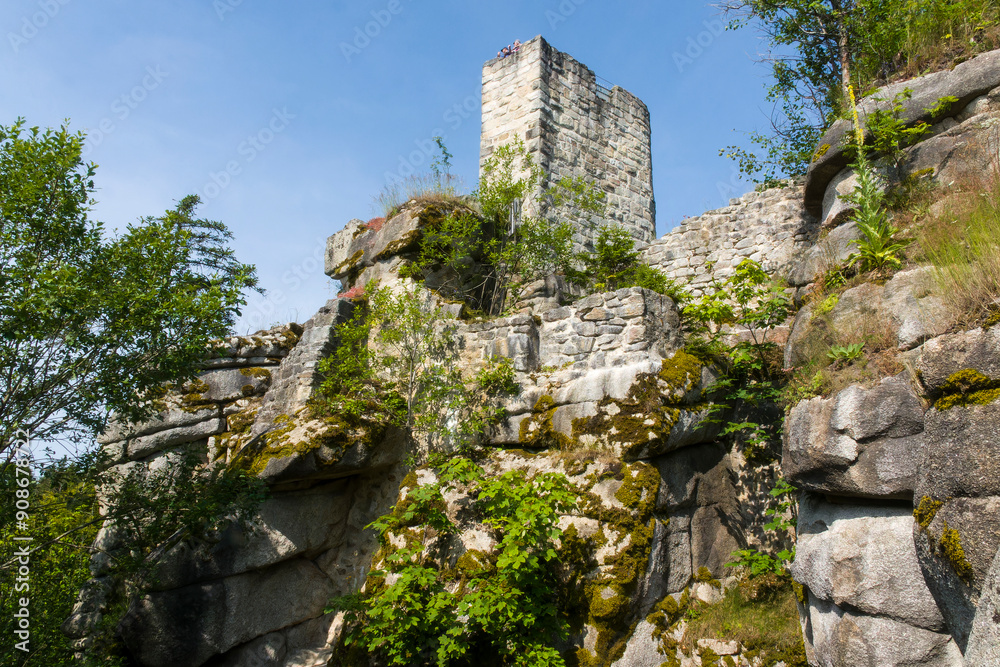 Fototapeta premium Ruine Weißenstein (Steinwald)