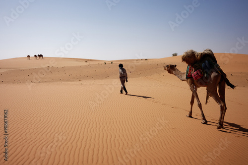 Mauritanian beduin walking in the Adrar desert (Mauritania) with a camel loaded with goods.