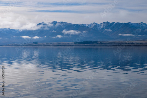 Road trip, Winter, Snowflake and frost over grass and wild flower, Lake Tekapo, Canterbury, New Zealand, South Island 