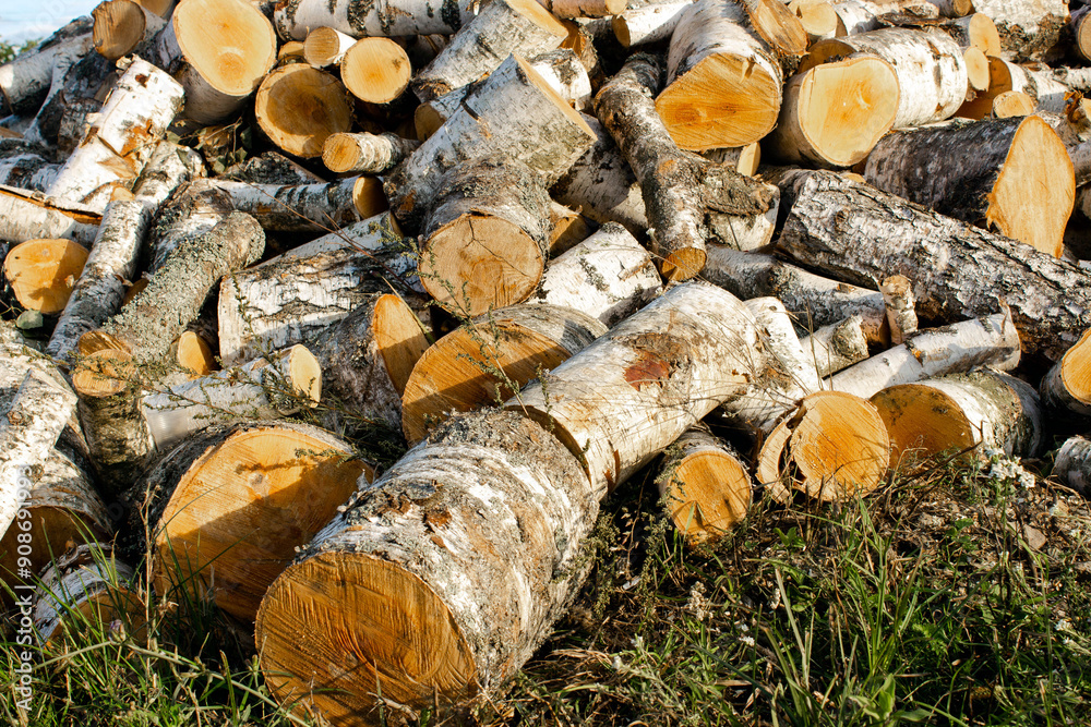 A pile of birch firewood lies on the grass. Chopped firewood stacked in a pile. Pile of logs for fireplace A pile of birch firewood lies on the grass. Chopped firewood stacked in a pile. Pile of logs for fireplace