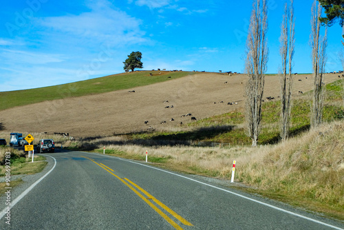 Fairlie, Canterbury, New Zealand, Road trip from Lake Tekapo to Christchurch, South Island  photo