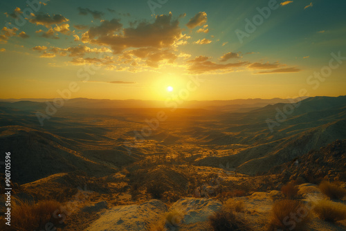 Joshua tree national park s...