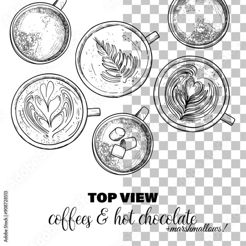 Vector hand drawn warm and hot beverages. Top view lattes and milk chocolates with marshmallows. Drinks assets ready to use and easy to edit. Black outline, no fill, with fine details. 