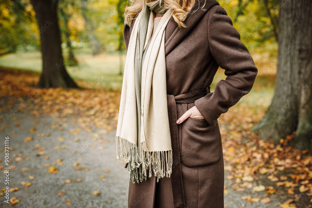 Woman wearing brown coat with cashmere scarf in autumn park. Trendy warm clothing. Fall fashion lifestyle Woman wearing brown coat with cashmere scarf in autumn park. Trendy warm clothing. Fall fashion lifestyle