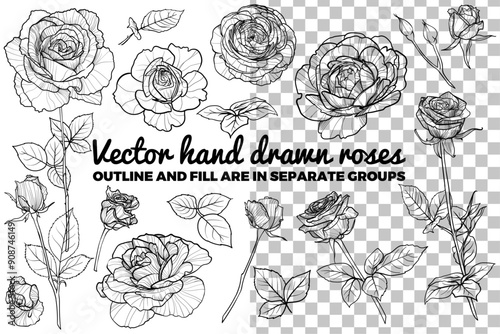 Set of vector hand drawn roses. Buds, flowers, bloom, blossom, leaves, stem of roses. Summer flowers on transparent background. Black outline, no fill, with fine details. 