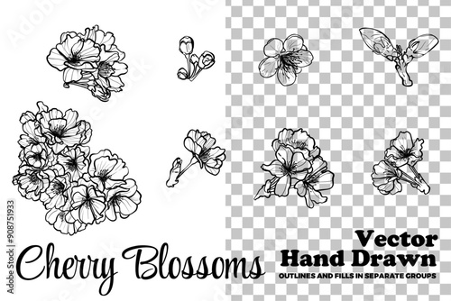 Vector hand drawn cherry blossoms. Black outline, no fill, with fine details. Elegant cherry blossoms for print and online design projects. These assets are ready to use, easy to edit.