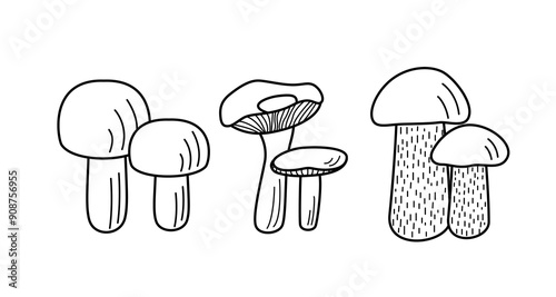 Set of mushroom icons vector. Illustration of boletus, chanterelles, honey mushrooms, champignons, aspen mushroom and russula.