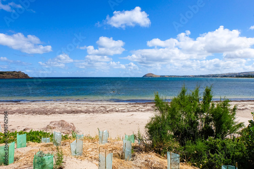 Victor harbour harbor, jetty, Granite Island, South Australia, Adelaide  photo