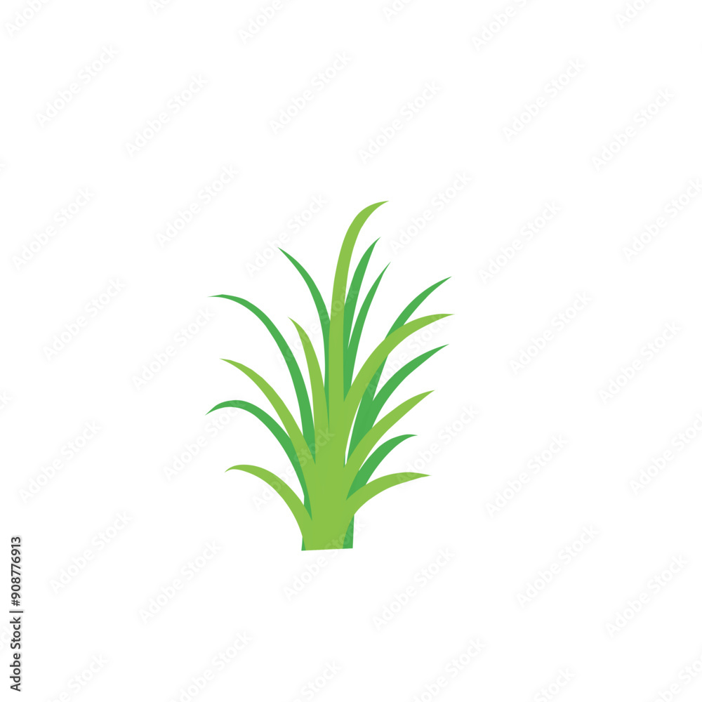 Fototapeta premium Green spring grass. Isolated on white background. Vector illustration.