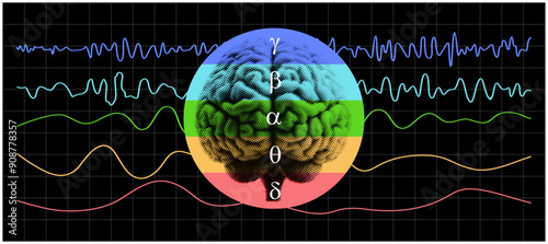 Different kinds of waveforms are produced by brain activity. A colorful brain wave patterns. A specific brainwave frequency.
