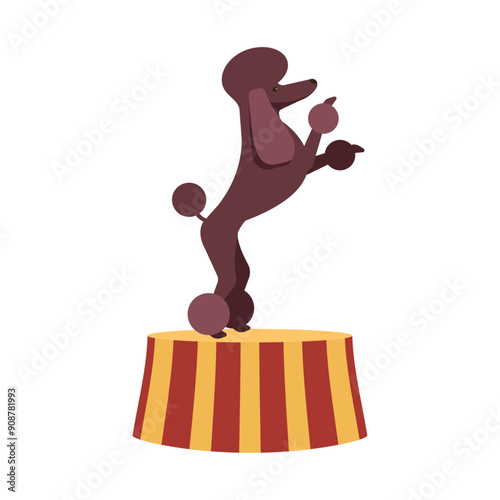 Circus dog standing on pedestal. Cute brown poodle on stage on carnival performance. Cartoon isolated vector icon.