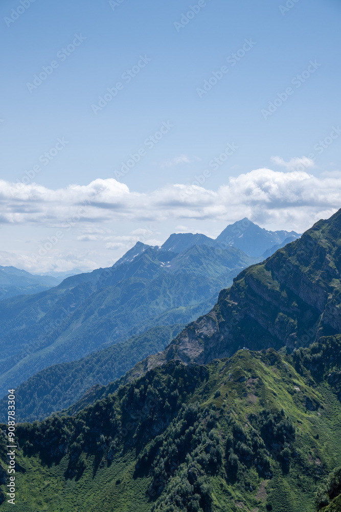 Obraz premium View of rocky mountains and forest on a sunny summer day