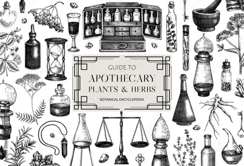Antique apothecary background. Hand-drawn vector illustrations. Alchemy sketches. Witchcraft card invitation design. NOT AI generated