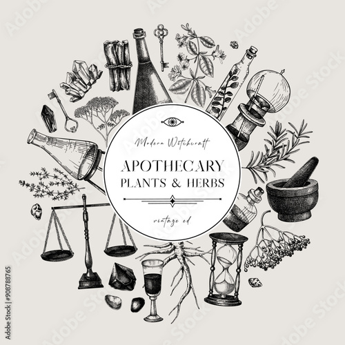 Antique apothecary frame. Hand-drawn vector illustrations. Alchemy sketches. Witchcraft background. Vintage card invitation design. NOT AI generated