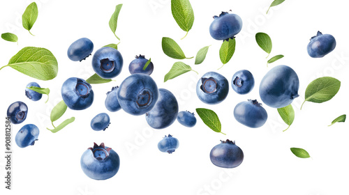 blueberries with green leaves isolated on transparent white background, clipping path