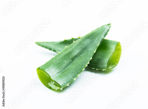 aloe vera  cutted leaves  laying on white background. Reference for design