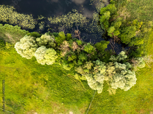 Abendstimmung mit Bäumen am Ufer des Wergensee bei Neubrück im Land Brandenburg, Deutschland - Teil der Märkischen Umfahrt