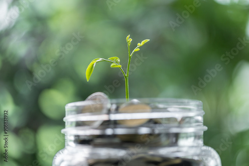 Coin symbolizes growth of investment, as money nurtures a green plant, representing the path to financial success in business and the broader economy. coin, growth, investment, money, green, plant. photo