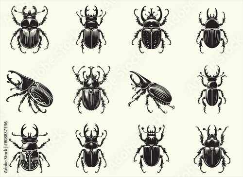 Beetle Silhouette Vector Illustration