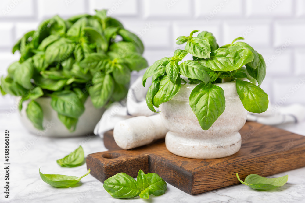Fresh green basil in a mortar on a textured wooden background. Organic spices and herbs. Vegan. Fresh kitchen herbs. Fresh basil being made into pesto with mortar and pestle.Copy space. Place for text Fresh green basil in a mortar on a textured wooden background. Organic spices and herbs. Vegan. Fresh kitchen herbs. Fresh basil being made into pesto with mortar and pestle.Copy space. Place for text