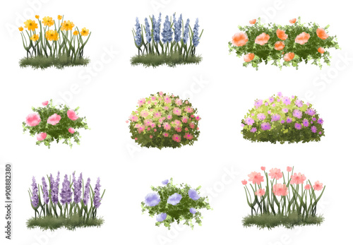 set of flowers and grass, Vector of tree or blooming  side view isolated on white background ,watercolor tree elevation for landscape concept,environment scene,eco design,blossom garden for spring
