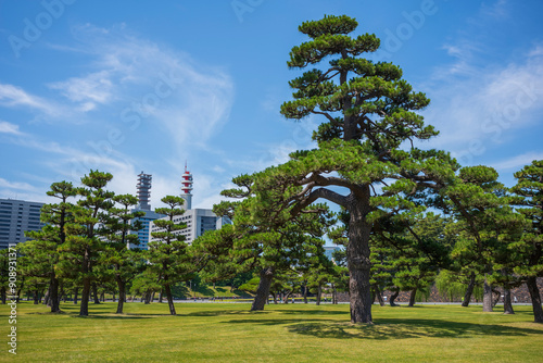 Kokyo Gaien National Garden in Tokyo, Japan during a summer day photo