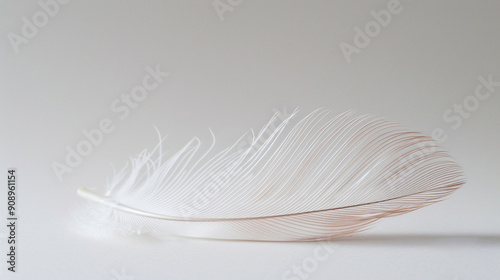 Close-up of a single feather on a plain background, highlighting its delicate structure photo